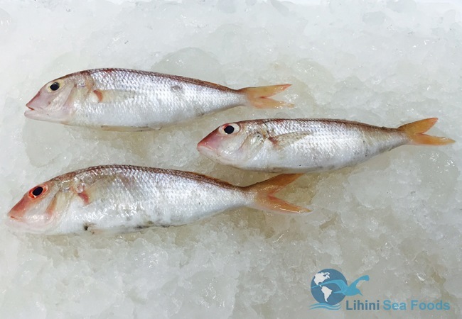 red-mullet-fish