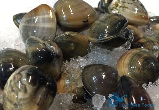 vongole